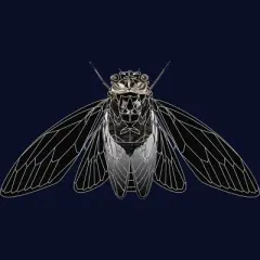 Junior's Design By Humans Monochrome Cicada By Realkey T-Shirt