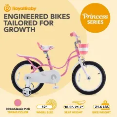 RoyalBaby Princess Girl Kids Bicycle with Training Wheels
