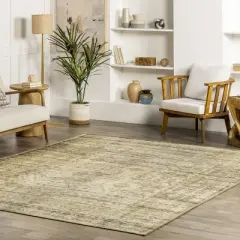 nuLOOM Chana Printed Framed Trellis Flatweave Area Rug