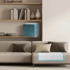 ProHeal Plus Light Fluff Underpad, Incontinence Bed Pad, Leak Proof Poly Backing, 23" x 36" - 300 Pack