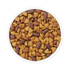 Purina Dog Chow with Real Beef Adult Complete & Balanced Dry Dog Food