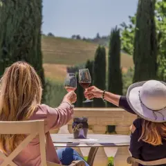 Ferrari Carano Fume Blanc White Wine - 750ml Bottle