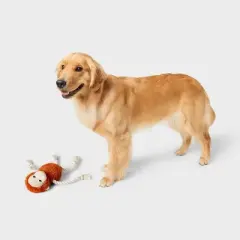 Monkey Plush with Rope Dog Toy - 14" - Boots & Barkley&trade;