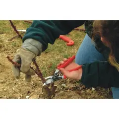 FELCO 10, Ergonomic Rotative Handle Forged Aluminum Hand Pruner, Large Left Hand, Swiss Made