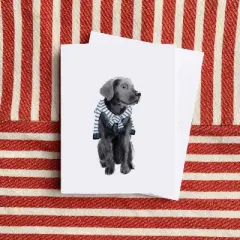 Preppy Black Lab Greeting Card Pack Set (8 ct.) by Ramus & Co
