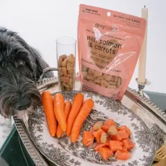 Dexypaws Salmon & Carrot Dog Biscuits 12oz - All Natural Pet Treats, Protein