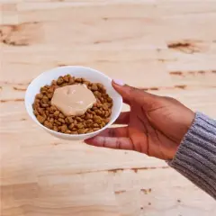 Temptations Creamy Puree with Chicken Lickable Squeezable Adult Cat Treats