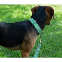 Country Brook Design - Flamingos Martingale Dog Collar