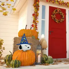 Peanuts Snoopy in Witch hat Pumpkin press-in 10 inch Icon