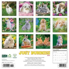 Willow Creek Press 2026 Bunnies Wall Calendar
