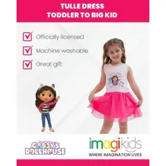 Dreamworks Gabby's Dollhouse Cakey Cat Gabby Kitty Fairy Pandy Paws Mercat Girls Tulle Dress Toddler to Big Kid