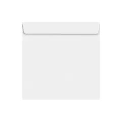 LUX 8 x 8 Square Envelopes 2 11/16 x 3 11/16  70lb. White 10969-50