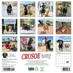Willow Creek Press 2026 Crusoe the Celebrity Dachshund Wall Calendar