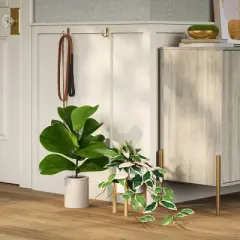 13" Trailing Plant in Wood Planter - Threshold&trade;