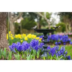 Evergreen Hummingbird Bird Baths for Outdoors Heavy Duty | Metal Bird Bath Bowl with Stand | Ground Standing Bird Bath and Feeder for Garden Yard Deck
