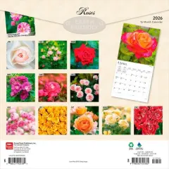BrownTrout Roses 2026 12"x24" Hanging Square Wall Calendar Plastic-Free