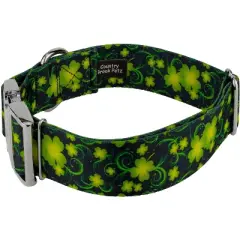 Country Brook Petz HossFit Jr Wide Premium Dog Collar - Irish Pride Collection