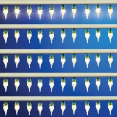 Collections Etc 50 Twinkling White LED Wired Rope String Lights