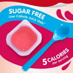 Snack Pack Juicy Gels Cherry Sugar Free - 13oz