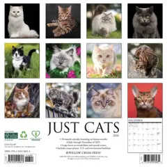 Willow Creek Press 2026 Cats Wall Calendar