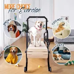 AMERLIFE Dog Treadmill for Dogs with Pace Adjustbable Brake and Roller Wheels