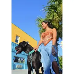 Black Rhino Dog Leash 5ft Ultra-Soft Neoprene Handle & Reflective Carabiner - Aqua