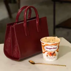 Haagen-Dazs Caramel Cone Ice Cream - 14oz