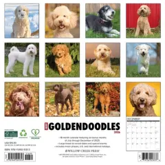 Willow Creek Press 12"x12" 2026 Goldendoodles Wall Calendar