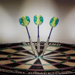Elkadart Prism Ringed Silver Steel Tip Darts