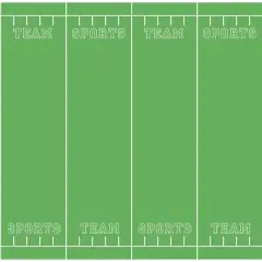 Pacon Fadeless 48 X 50 Roll Team Sports 56275