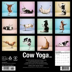 Willow Creek Press 2026 Cow Yoga Wall Calendar