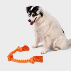 24" Rope Dog Toy - Boots & Barkley&trade; Orange