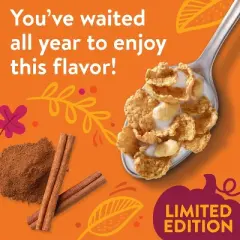 Kellogg's Special K Pumpkin Spice Breakfast Cereal - 16.7oz