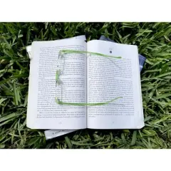 Calabria 715 Women Light Rimless Flexie Reading Glasses Celery Green +1.50 48 mm