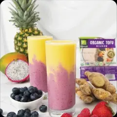 Nasoya Silken Organic Gluten Free Vegan Tofu - 16oz