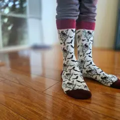 Sophisticated Bat & Birds Socks - (Women's Sizes, Adult Medium) from the Sock Panda - Great for Halloween