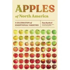 Apples of North America - by  Tom Burford (Paperback)