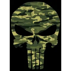Men's Marvel Punisher Camo Skull Symbol T-Shirt