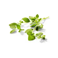 Organic Oregano - 0.5oz - Good & Gather&trade;
