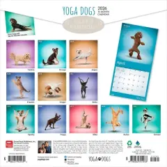 BrownTrout Yoga Dogs 2026 12"x24" Hanging Square Wall Calendar Plastic-Free