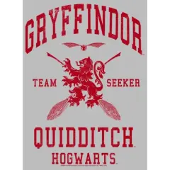 Men's Harry Potter Gryffindor Quidditch Team Seeker T-Shirt
