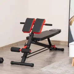 Dexmalle Adjustable Hyper Extension Dumbbell Weight Bench