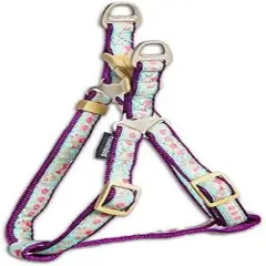Touchdog  'Avery Patterned' Tough Stitched Dog Harness and Leash