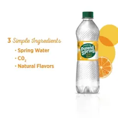 Poland Spring Orange Sparkling Water - 24pk/0.5L Bottles