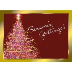 CEO Cards Holiday Greeting Card Box Set of 25 Cards & 26 Envelopes - H1129