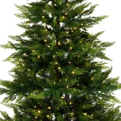 National Tree Company Pre-lit Feel Real Festive Fern Artificial Christmas Tree with Clear Lights