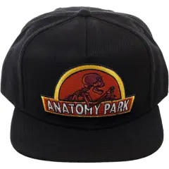 Rick And Morty Anatomy Park Logo Snapback Baseball Hat Black