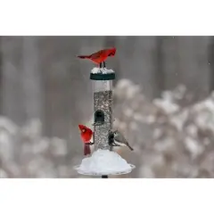 Brome Tube Solution 200 Wild Bird Feeder, 3.4 lb Capacity, Clear