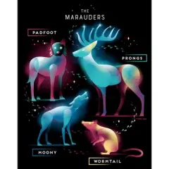 Women's Harry Potter The Marauder Animals T-Shirt
