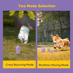 Petbobi Interactive Toy Dog Ball for Medium and Large Dogs, Active Rolling Ball for Dogs with LED Flash Light and USB Rechargeable, Purple